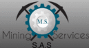 msminingservices.com